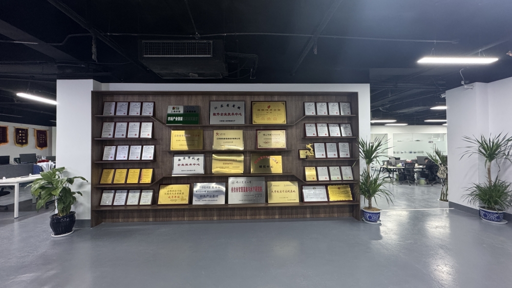 江苏叁拾叁公司