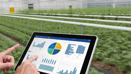 智慧农业数据分析解决方案