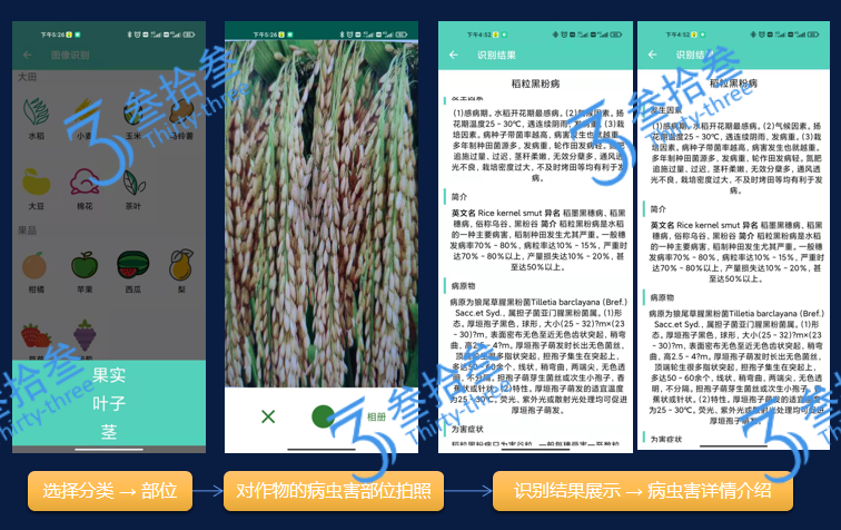 江苏叁拾叁智慧病虫害监测3