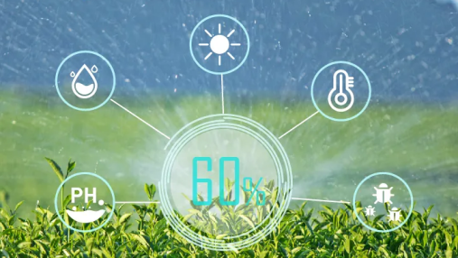 智慧农业决策支持系统应用效果