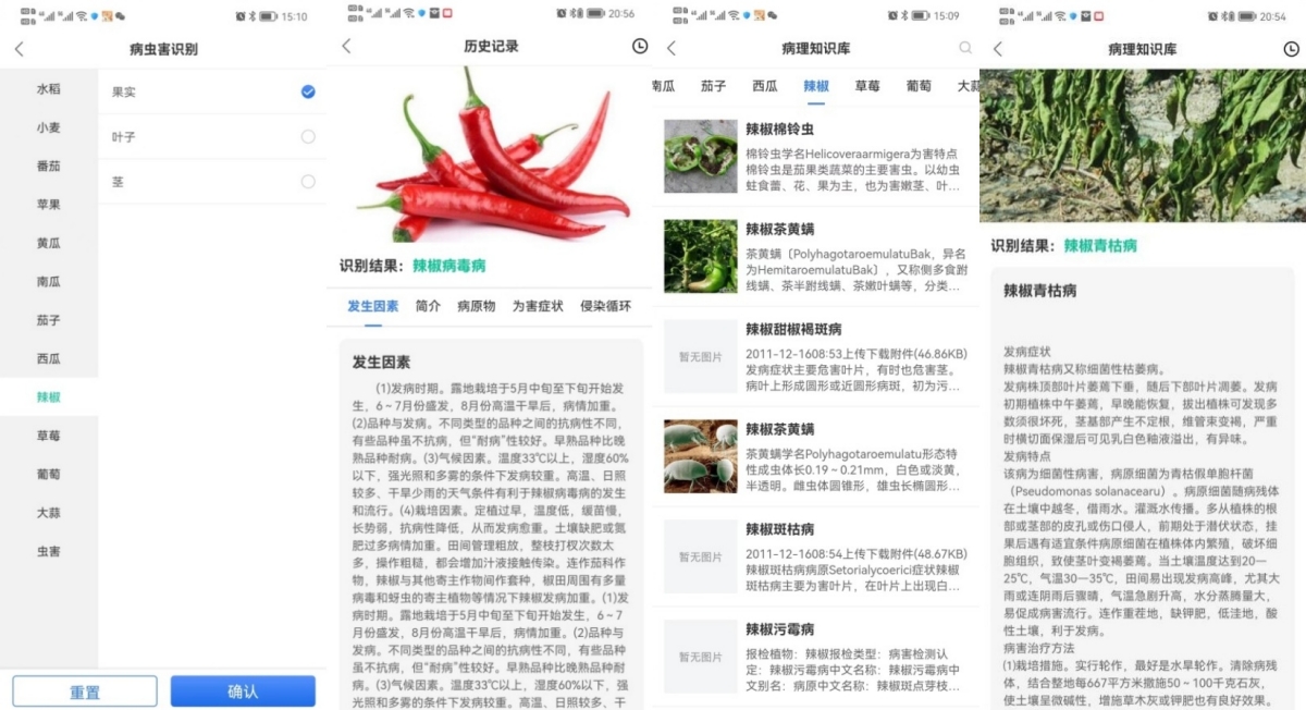 江苏叁拾叁智慧农业智能诊断系统-盐东羊角椒病虫害诊断APP
