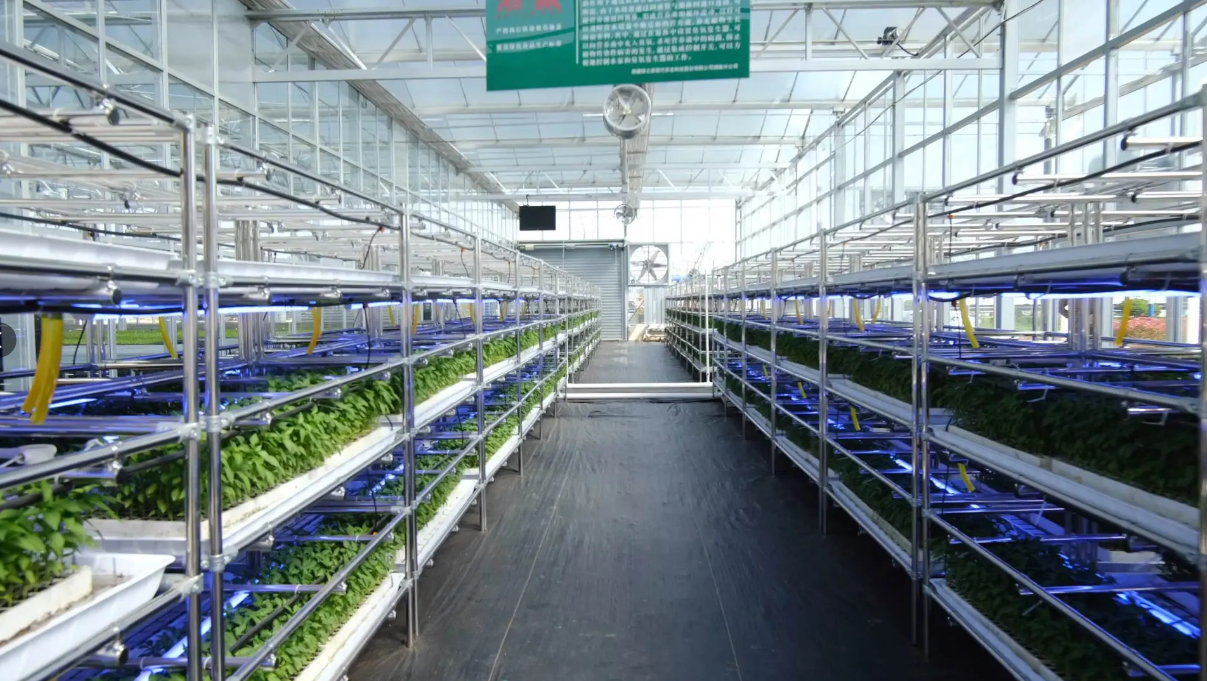 江苏叁拾叁智慧农业控制系统