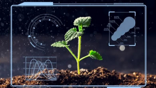 农业传感器在智慧农业监测中的作用原理是什么？