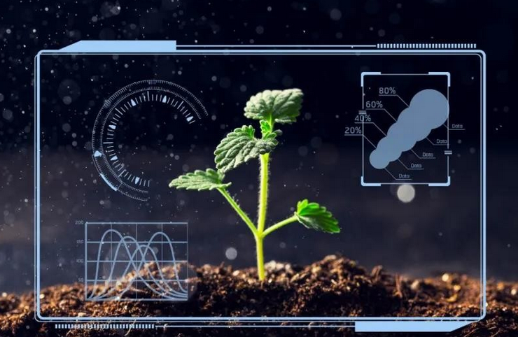 农业智能化升级前后对比分析