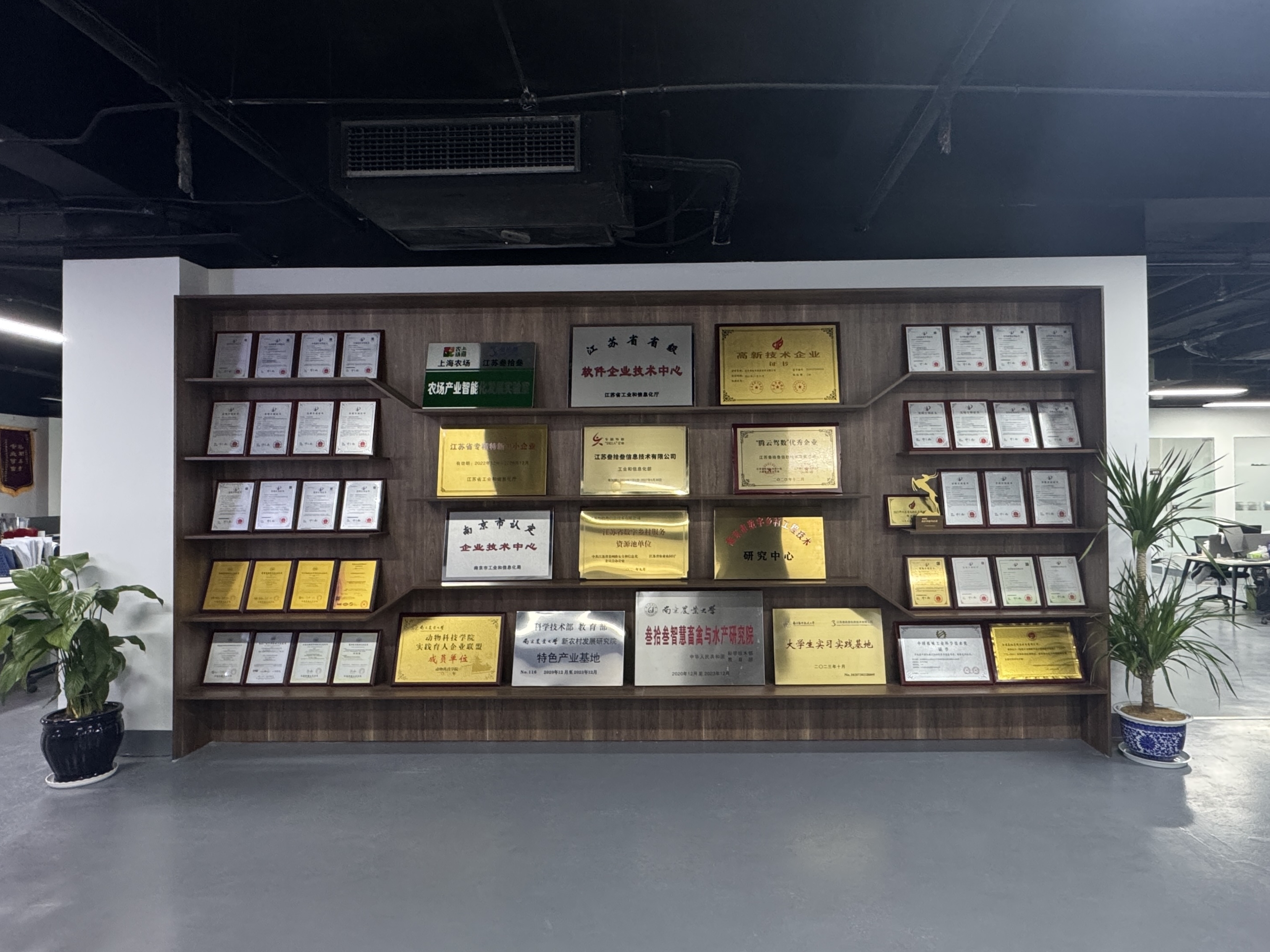 江苏叁拾叁公司2