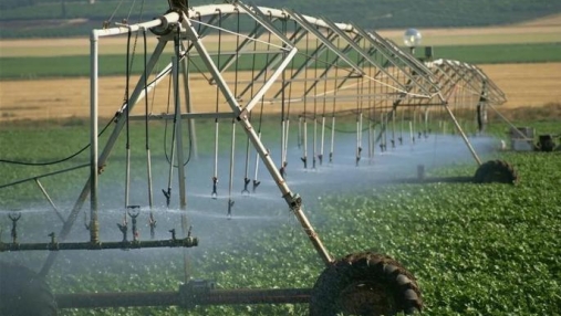 智慧农业大数据平台应用助力实现增产