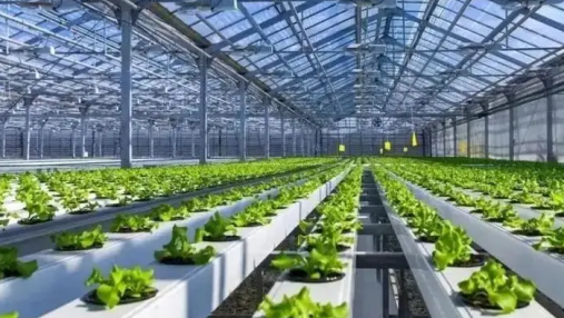 农业智能化规划设计方案应用效果