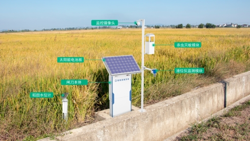 智慧农业在灌溉管理中的应用