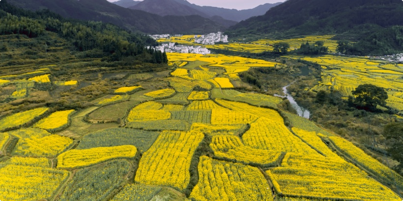 智慧农业百科丨什么是循环农业