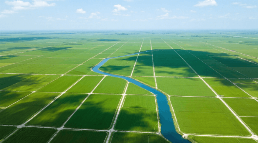 智慧农业如何帮助当地农业发展？