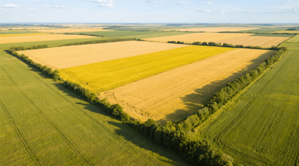 微信图片_2025-08-14_150841_872