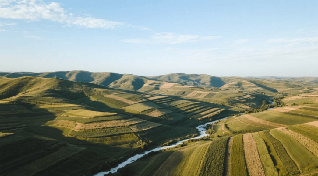 微信图片_2025-08-14_150846_264