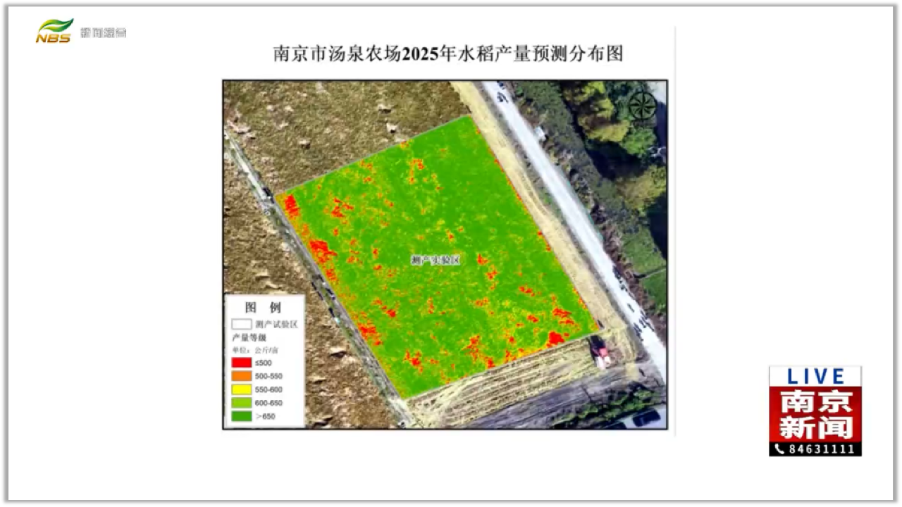 南京电视台聚焦！2