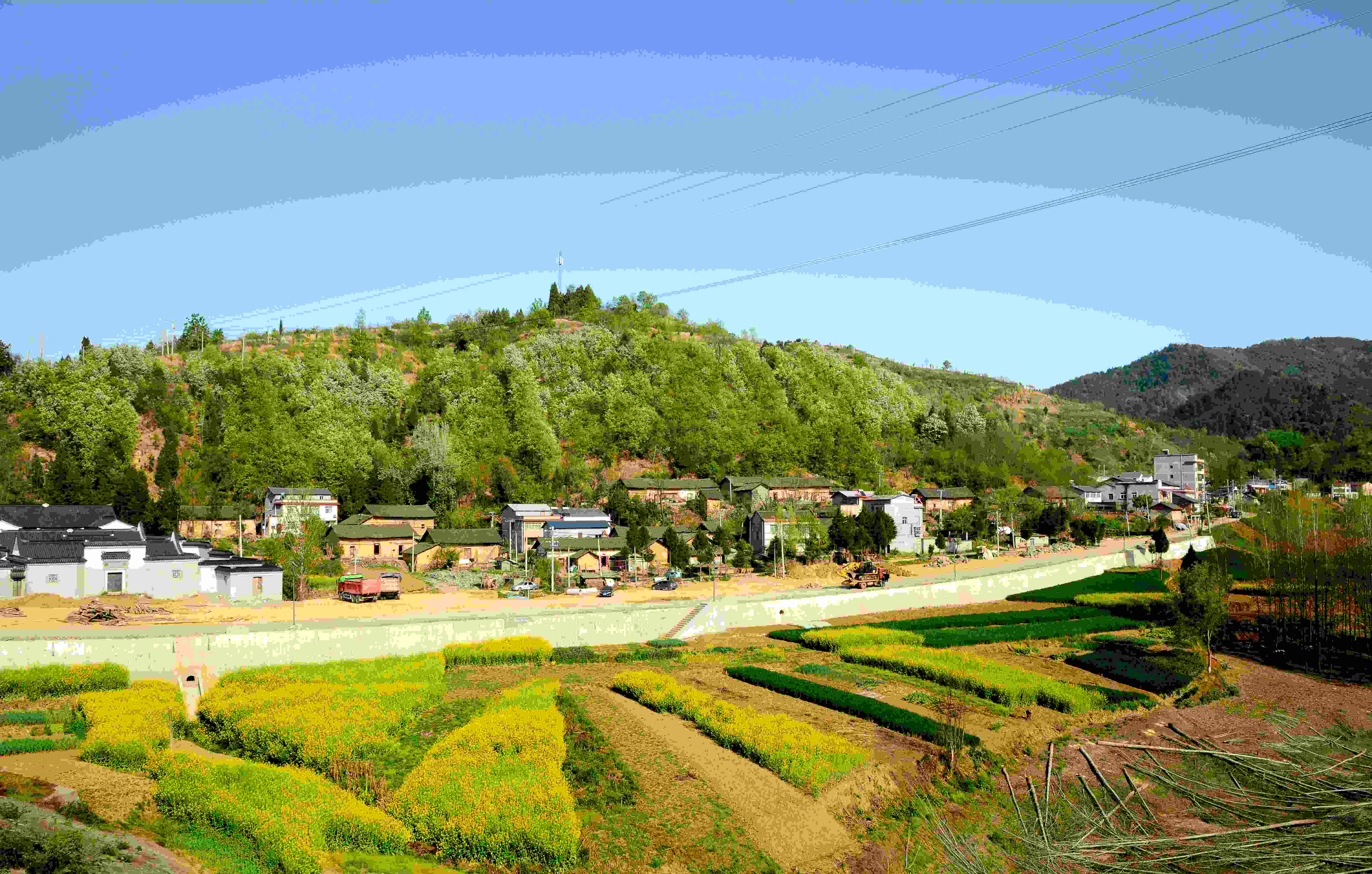 智慧农业技术如何缩小城乡间的差距？