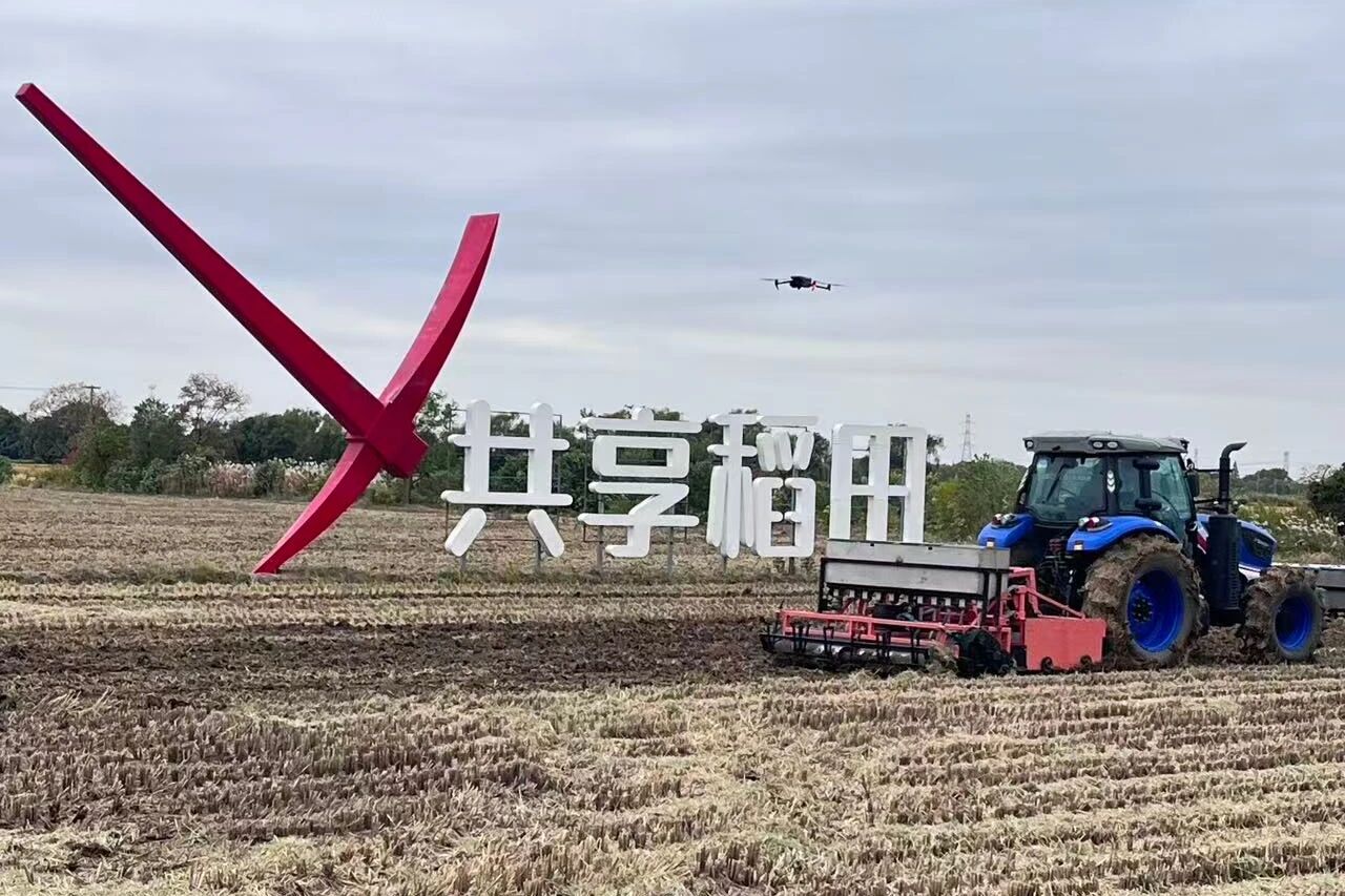 南京市优质稻米产业链3