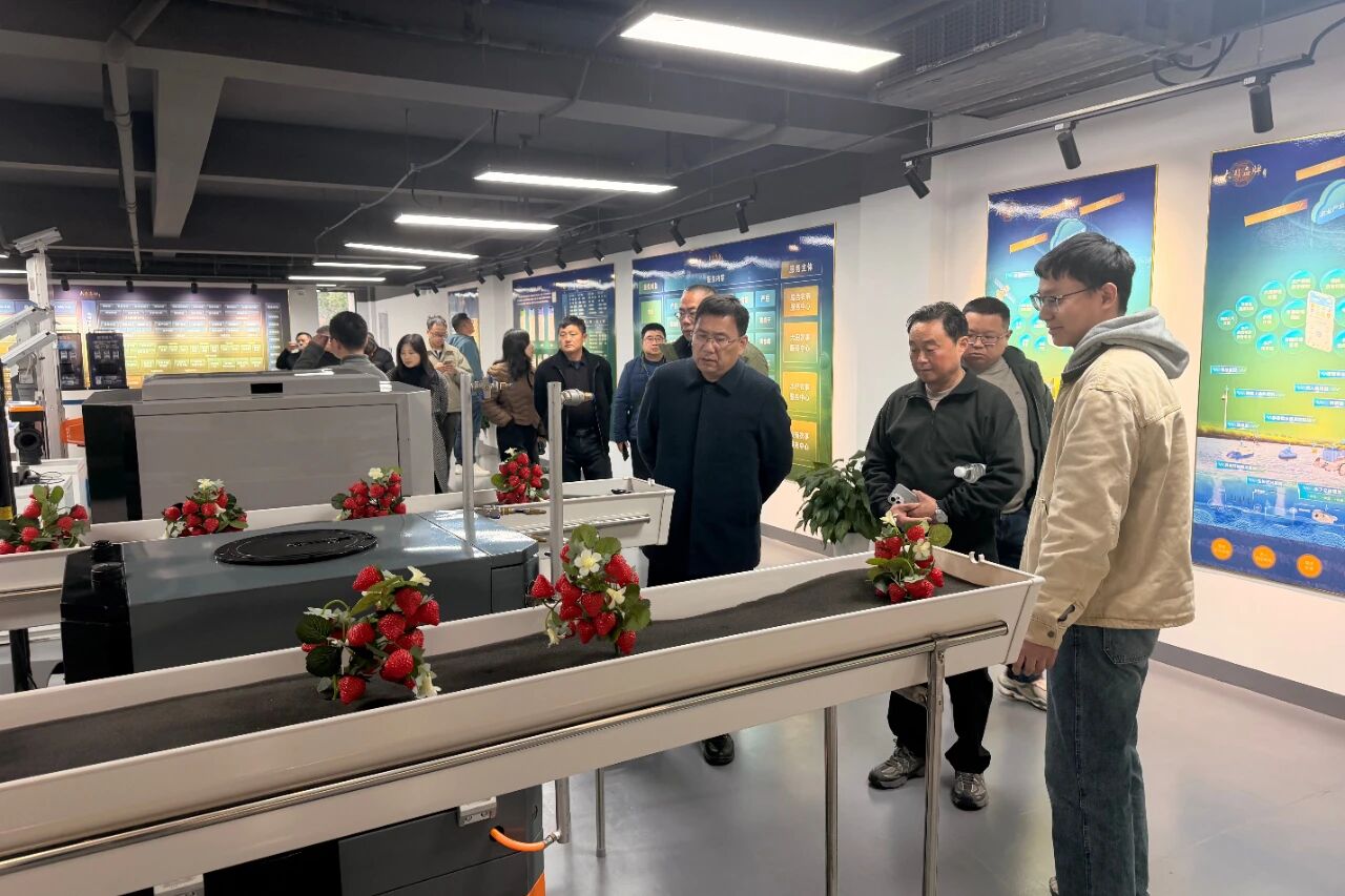 赋能林果机械化丨江苏叁拾叁助力泰州市林果类作物生产机械化装备与技术培训班