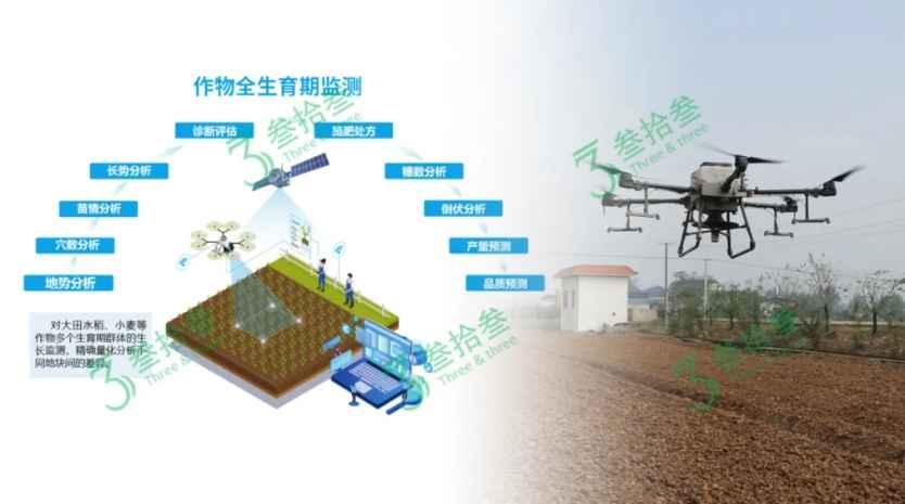 农业 AI 大模型在蓝莓种植中的土壤酸化管控与精准施肥系统