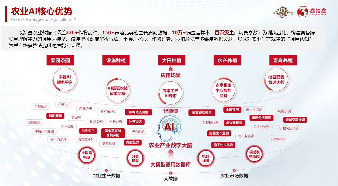 农业 AI 大模型在农业社会化服务体系中的智能支撑与模式创新
