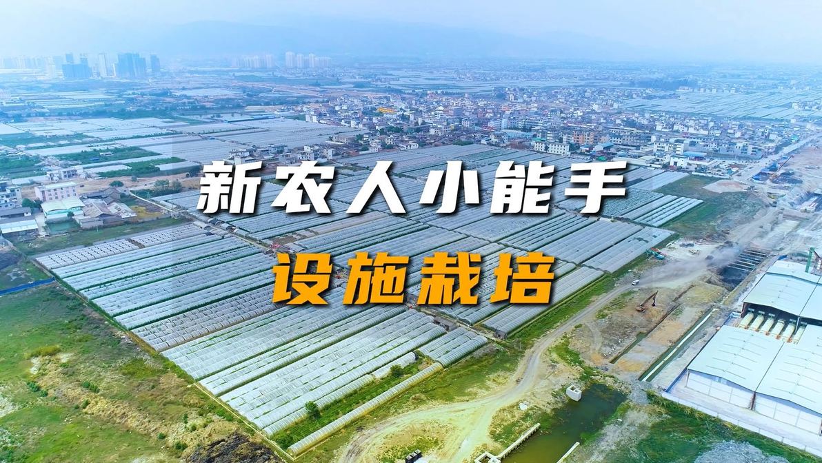 新农人小能手（农场版）