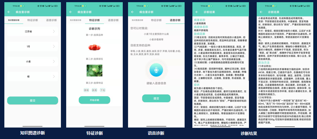 江苏叁拾叁病虫害AI智能识别诊断平台-拍照识别病虫害2