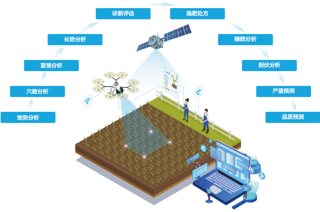 作物全生育期管理