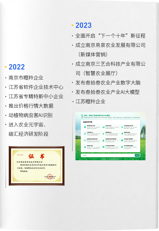 发展历程