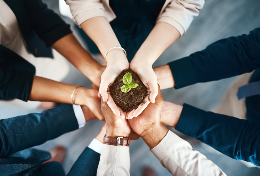 · Jiangsu Three & three Information Technology Co., Ltd. was established