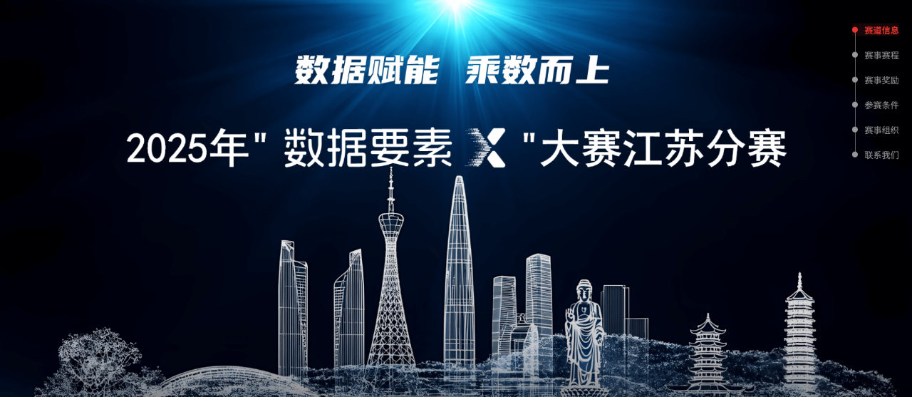 数据要素X