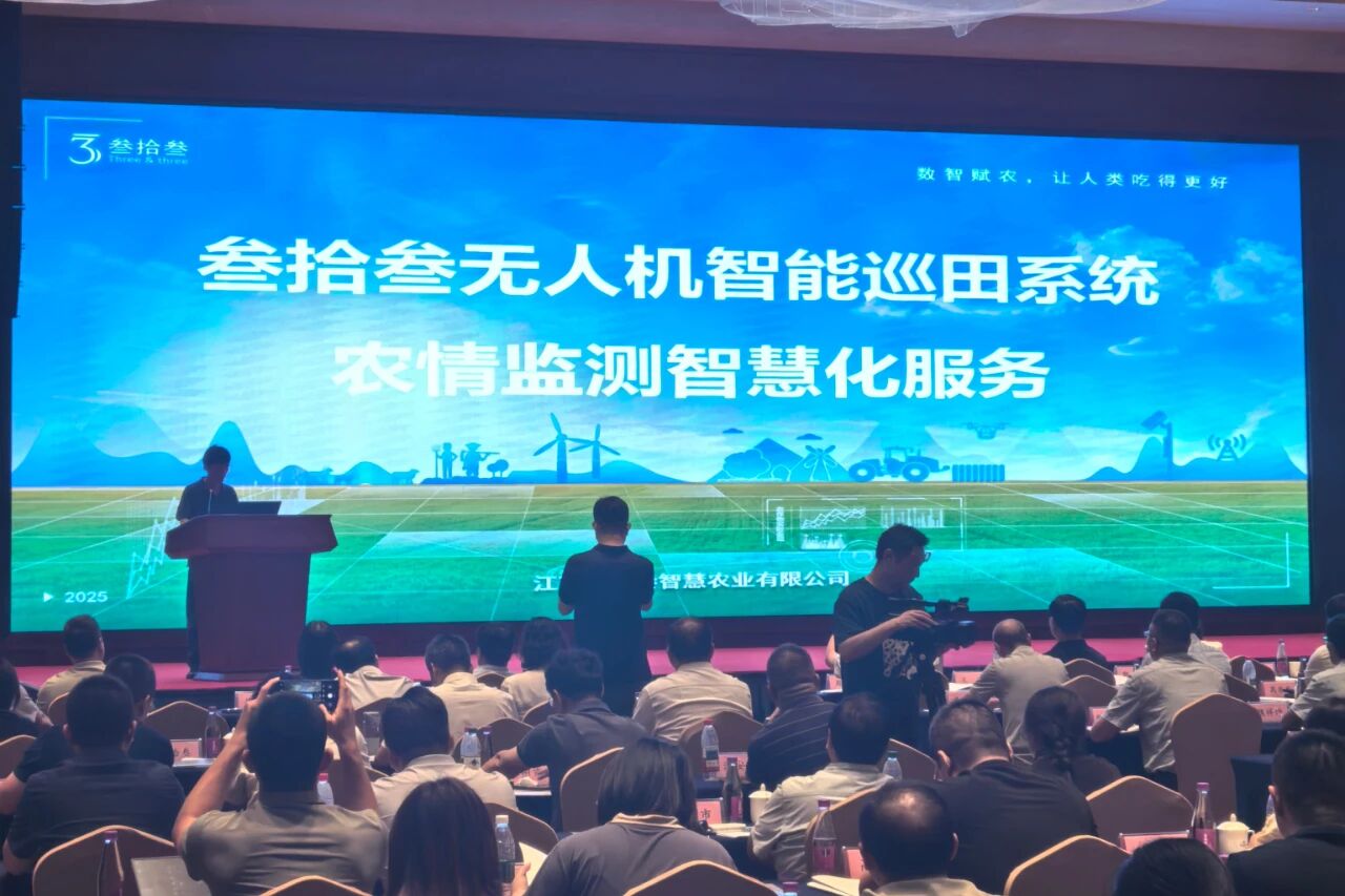 聚焦两大行动5