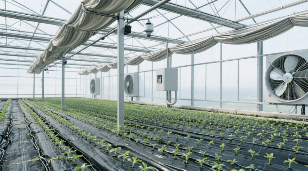 大棚蔬菜智慧农业种植管理方案介绍