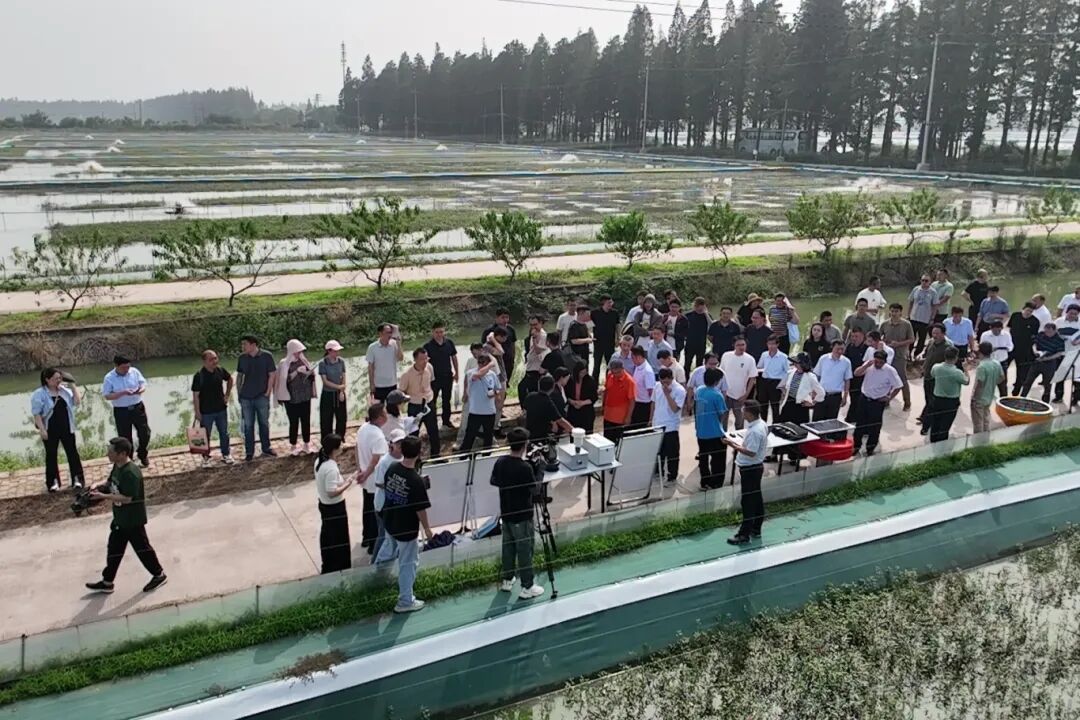 聚焦两大行动2