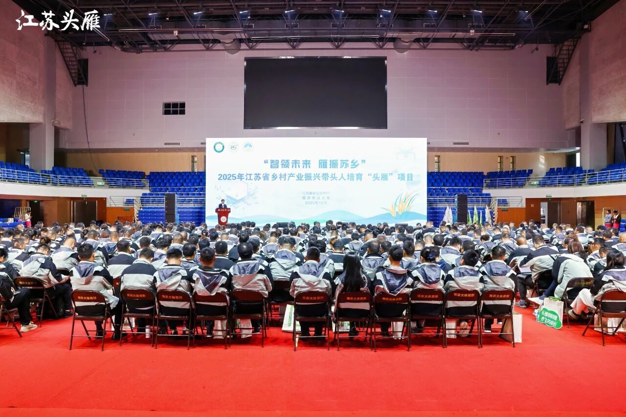 培训动态丨江苏叁拾叁助力2025年南京农业大学江苏省乡村产业振兴带头人培育“头雁”项目