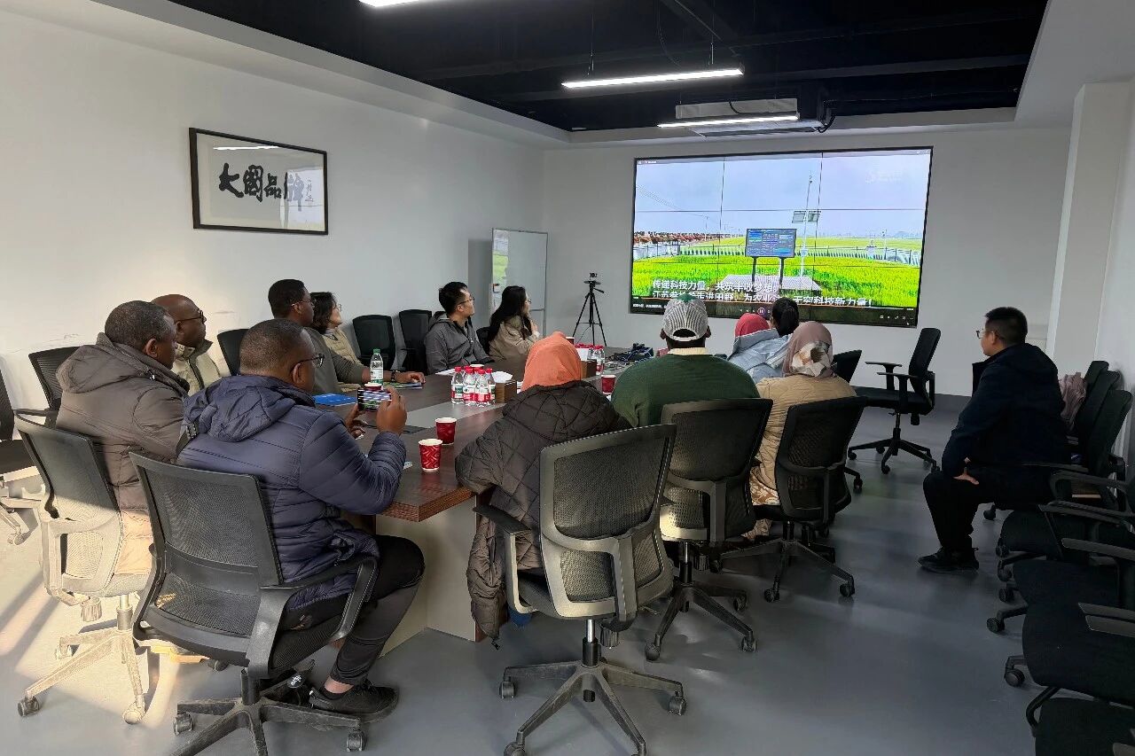 国际农业发展基金（IFAD）4