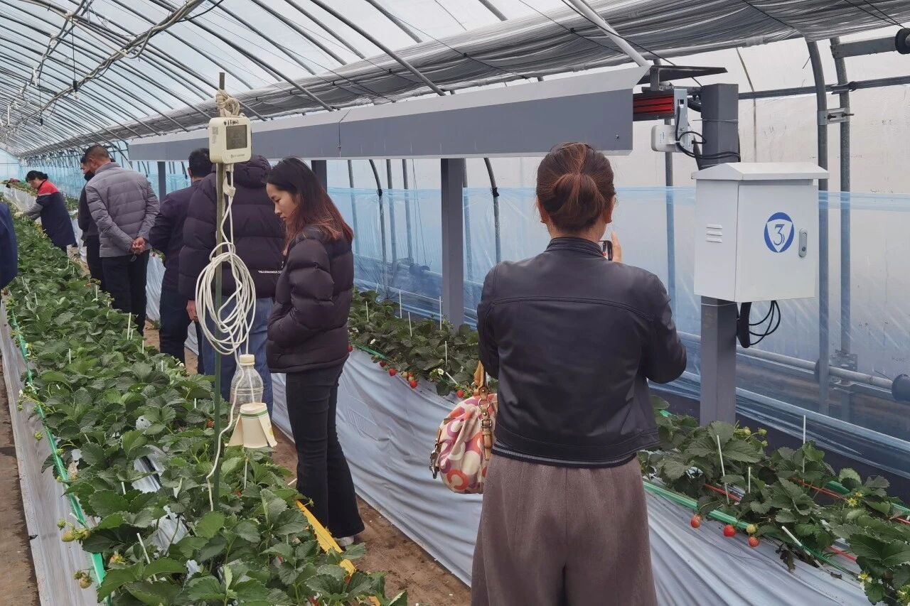 赋能新农人丨无锡4